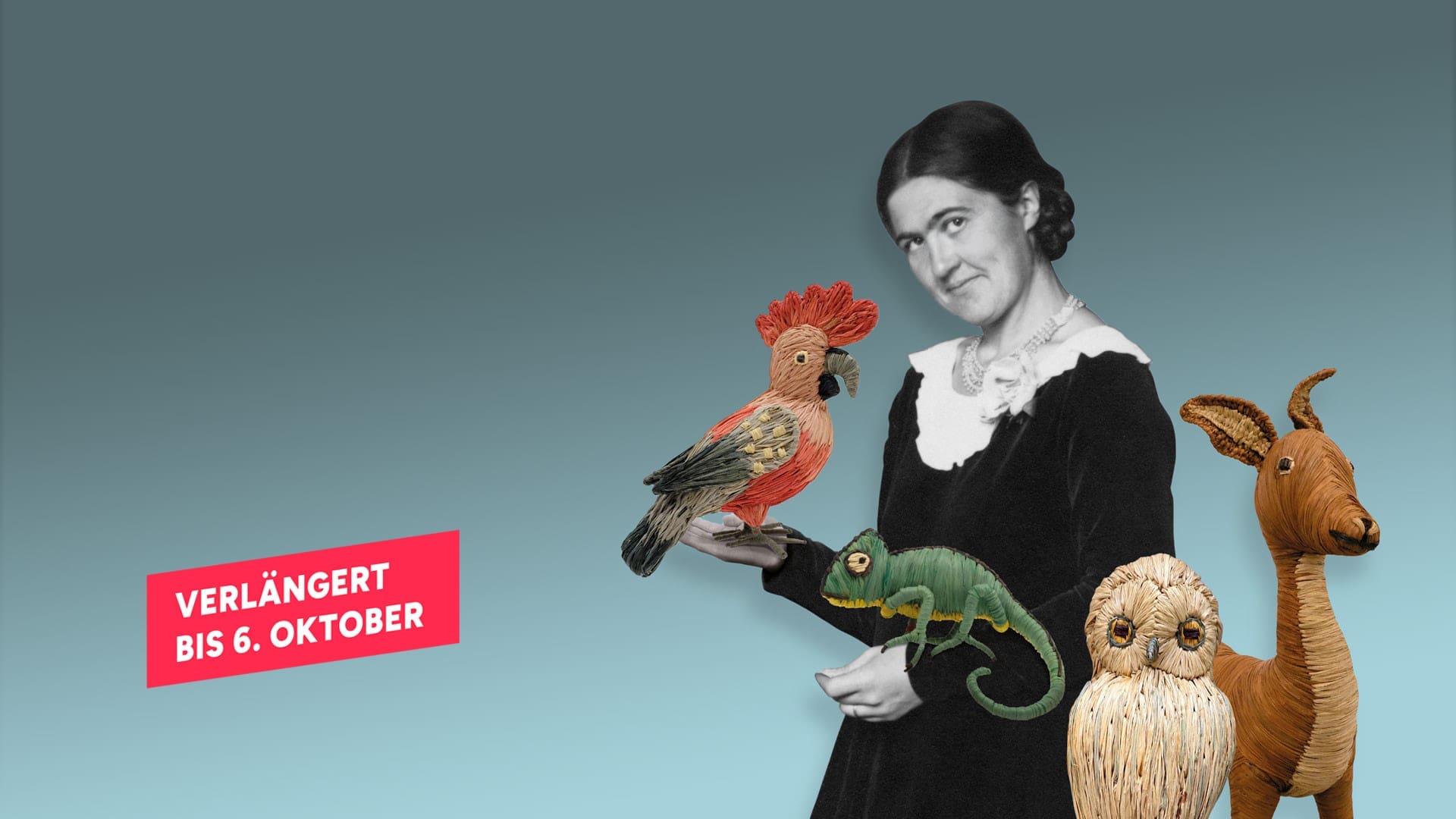 TIERE Header Verlauf verlaengert